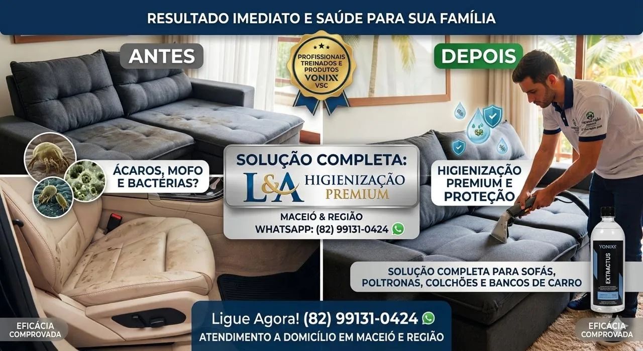 Lavagem a seco profissional 