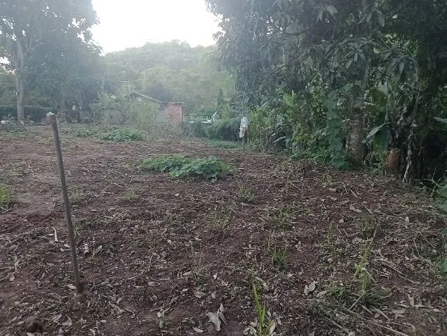 terreno para sítio / chácara com 6.590m² - Foto 5