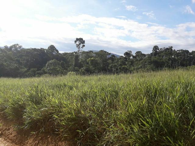 Fazenda ximarao em ALMENARA mg 125 hectares