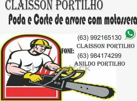Corte e poda de árvore com motosserra
