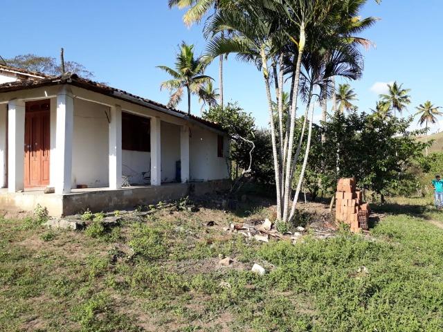 Ótima propriedade de 50 hectares, escriturada e registrada,a 4 km da pista de Pombos-PE - Foto 4