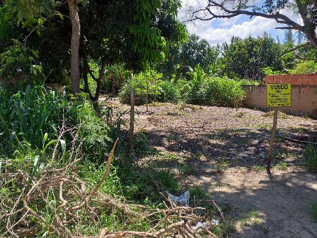 Saquarema - Jardim Ipitangas - excelente terreno 615 m2 - Foto 9