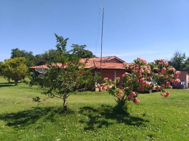 Lindo Sitio Próximo da Serra - Foto 6