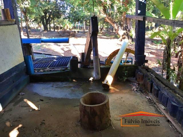 Belíssima fazenda, 110hectares, próximo de Caldas Novas, casarão rústico, rica em água - Foto 4