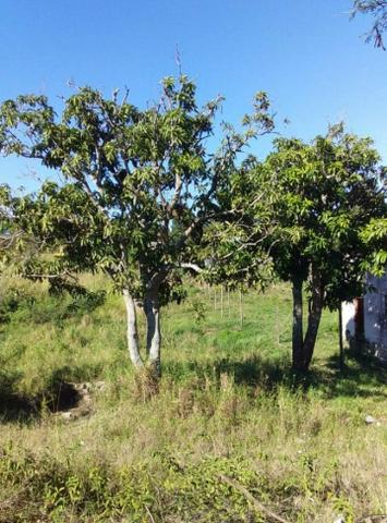 MACód: 118Terreno no Bairro Monte Alegre em Cabo Frio - Foto 2