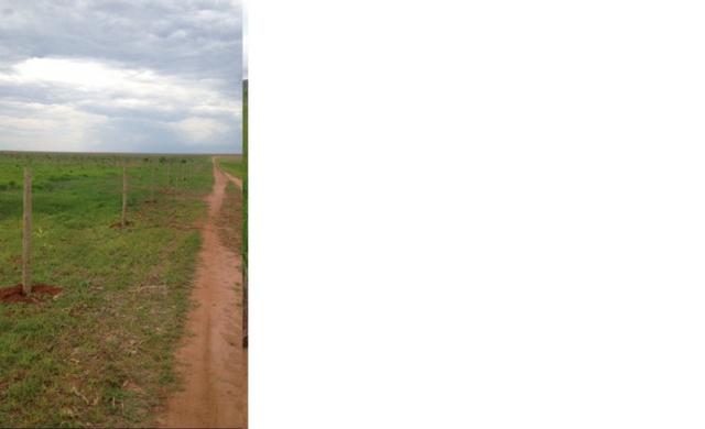 645 Hectares,250 hectares,Gradeada, Soja,Tangará-MT,Chapadão dos Parecis.Ótima Localização - Foto 2