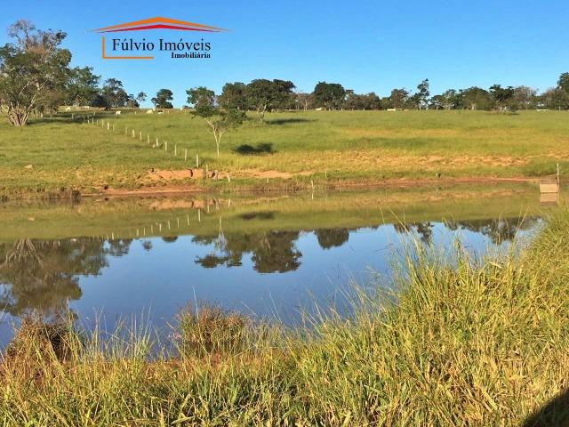 Belíssima fazenda, 110hectares, próximo de Caldas Novas, casarão rústico, rica em água - Foto 14