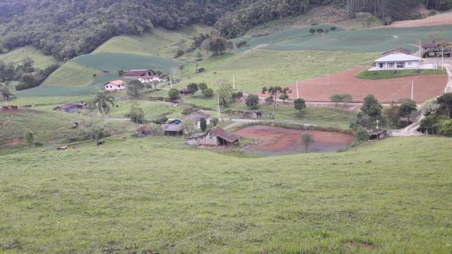 Oportunidade única !!! - Foto 7