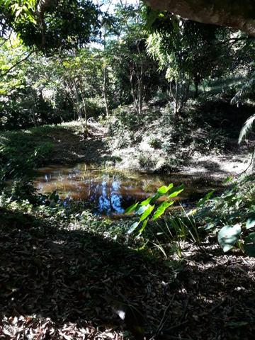 G Cód 292 Sítio em Silva Jardim/ Rj - Foto 6