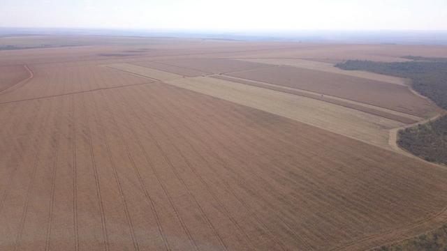 Fazenda 1.150 Hectares Plantando Lavoura - Nova Mutum - MT - Foto 2