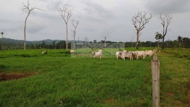 Fazenda à venda, 14520000 m² por r$ 4.500.000 - zona rural - são félix do xingu/pa - Foto 5