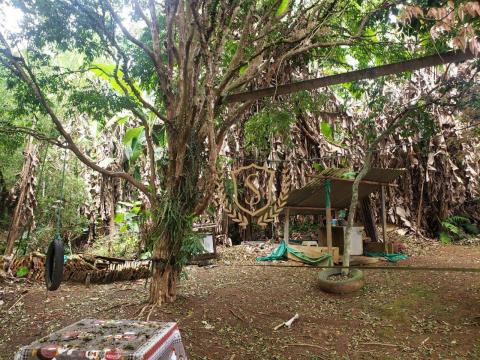 Terreno à venda, 1200 m² por r$ 1.300.000 - várzea - teresópolis/rj - Foto 4