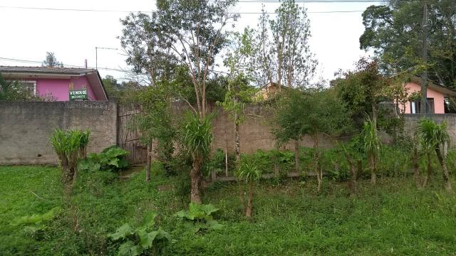 Terreno 12x38 - Foto 5
