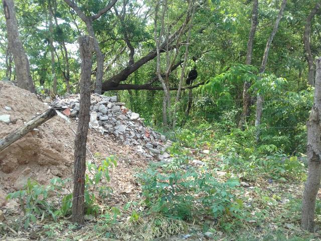 *- (TERRENO14×30) $37,000,00 recanto dos pássaros - Foto 3