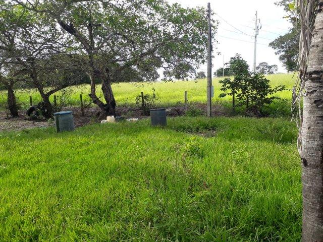 Fazenda Paraiso