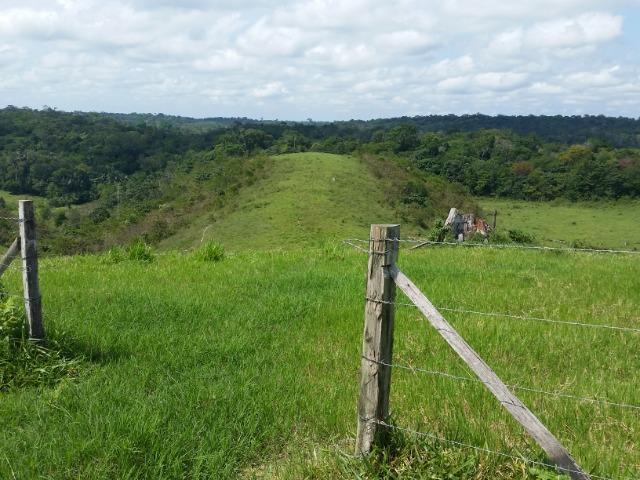 Fazenda na AM 010 - Foto 5