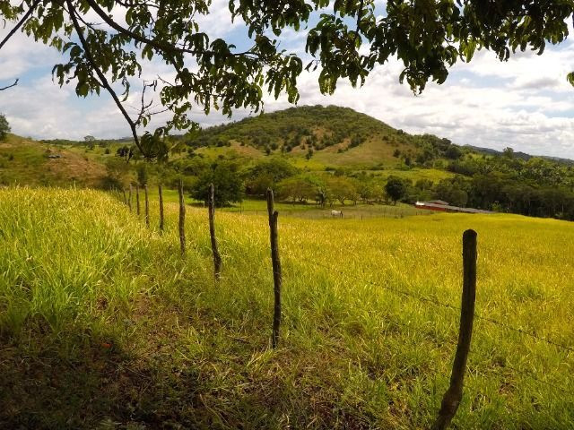 Fazendinha com 260.000m2 em candeias - Foto 5