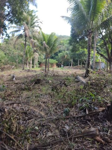 Terreno em São João do Jaboti - Espírito Santo - Foto 4