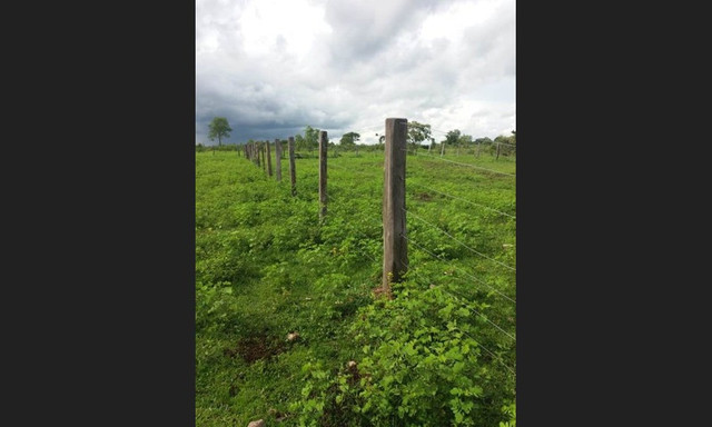 207 alqs Tem logística água e terra conceição TO - Foto 13
