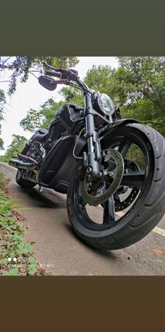 HARLEY DAVIDSON V ROD MUSCLE