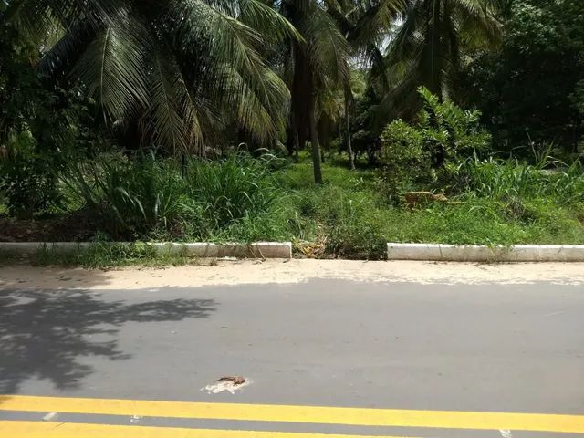 Sítio no Cumbique, Raposa  - Foto 2