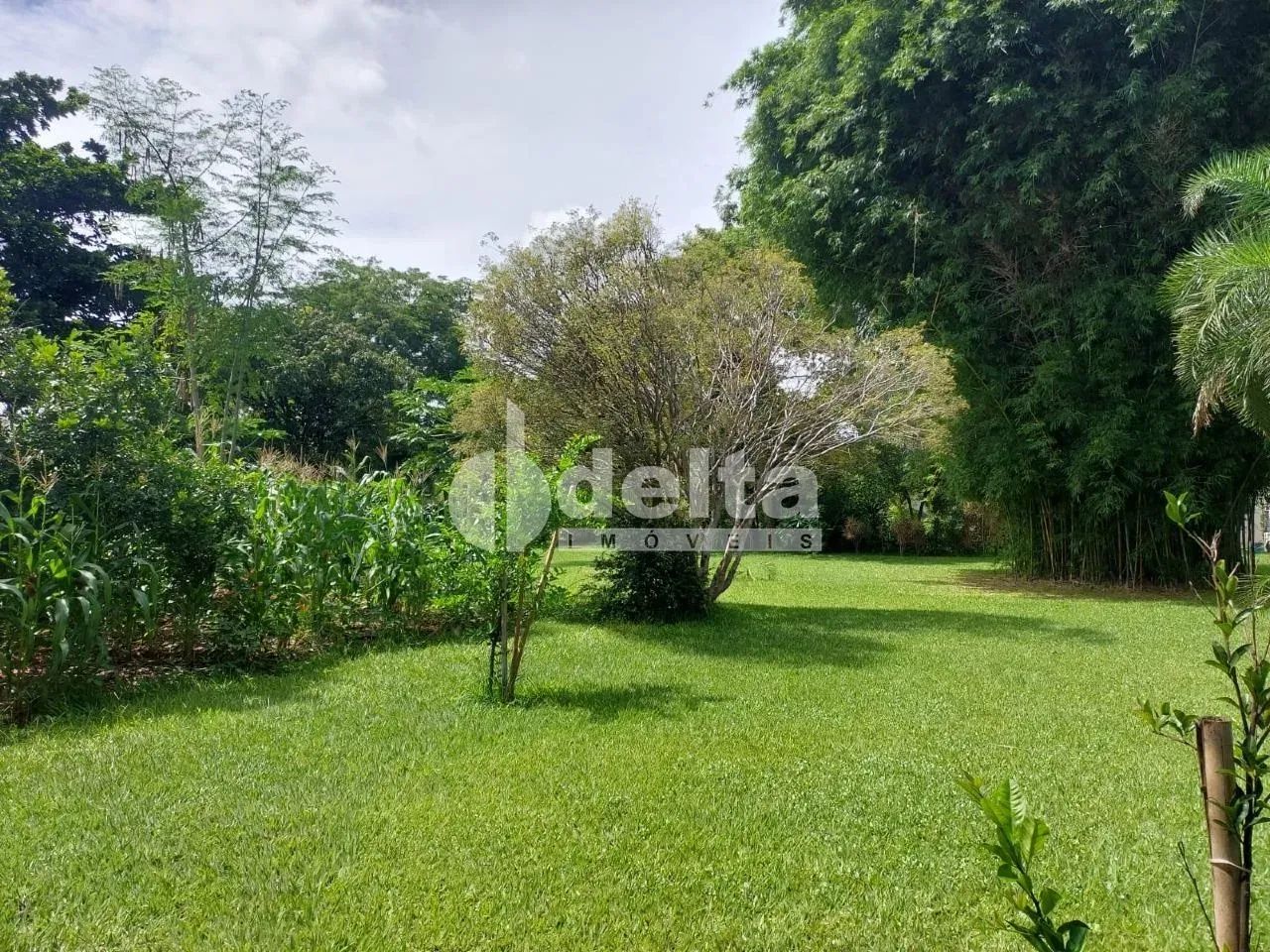 Casa no condomínio Morada do Sol disponível para venda em Uberlândia-MG - Foto 2