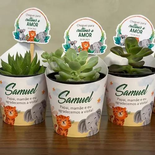 Mini Suculentas Personalizadas - Presentes Únicos <br><br> - Foto 5