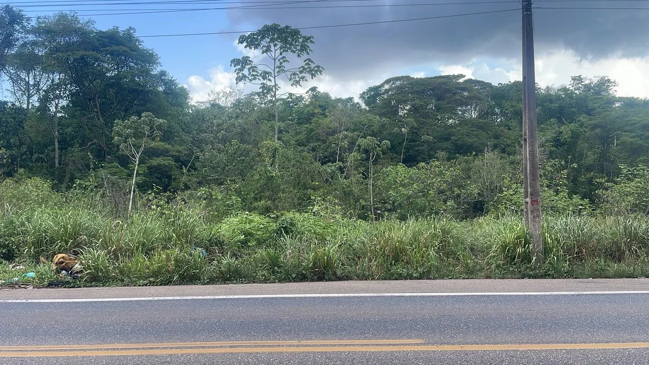 TERRENO URBANO COMERCIAL  - Foto 3