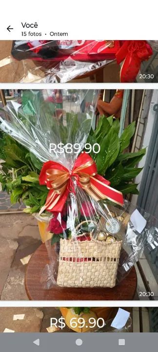 Planta Zamioculcas Zamiifolia - Foto 6