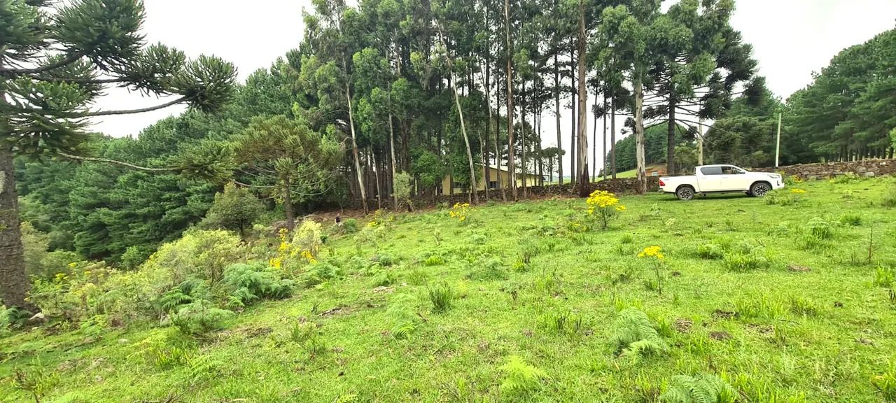São Joaquim- Serra Catarinense- 15 hectares - Foto 5