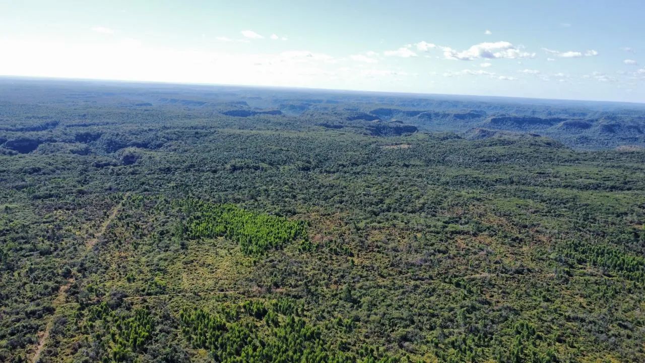 Oportunidade! fazenda em São Pedro do Piauí com 1.070 hectares para lavoura,  boa de solo. - Foto 5
