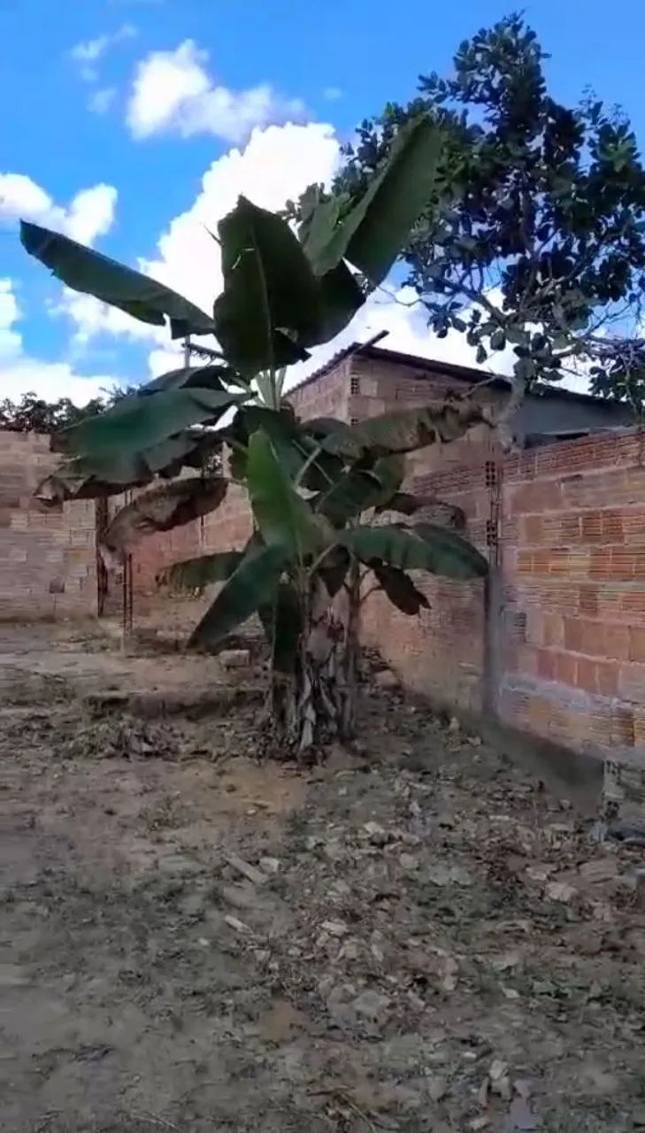 Foto - Manaus - Compensa