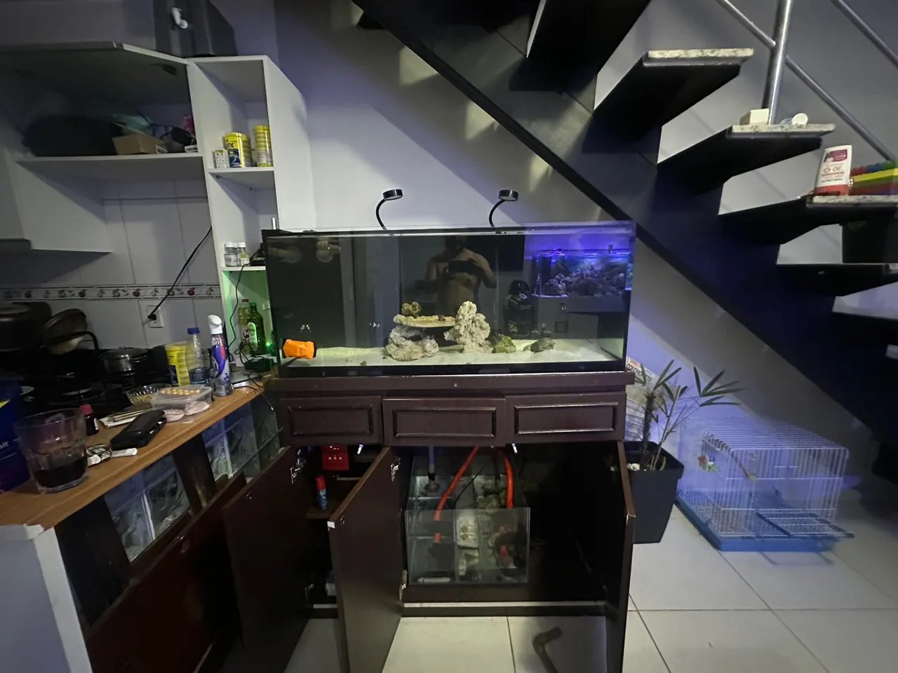 Aquário marinho 300 litros