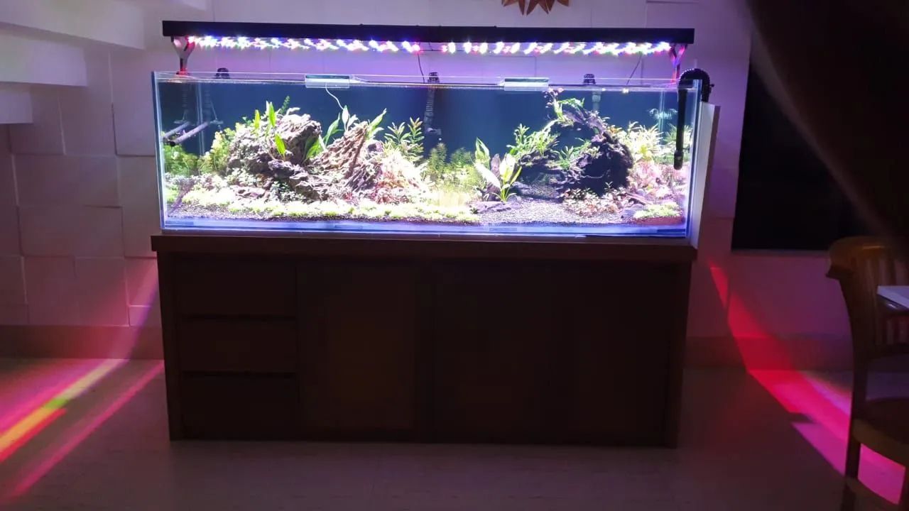 Aquario + Filtros + Luminárias. 80% de desconto!