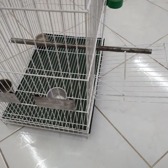 Viveiro Calopsita - Foto 2