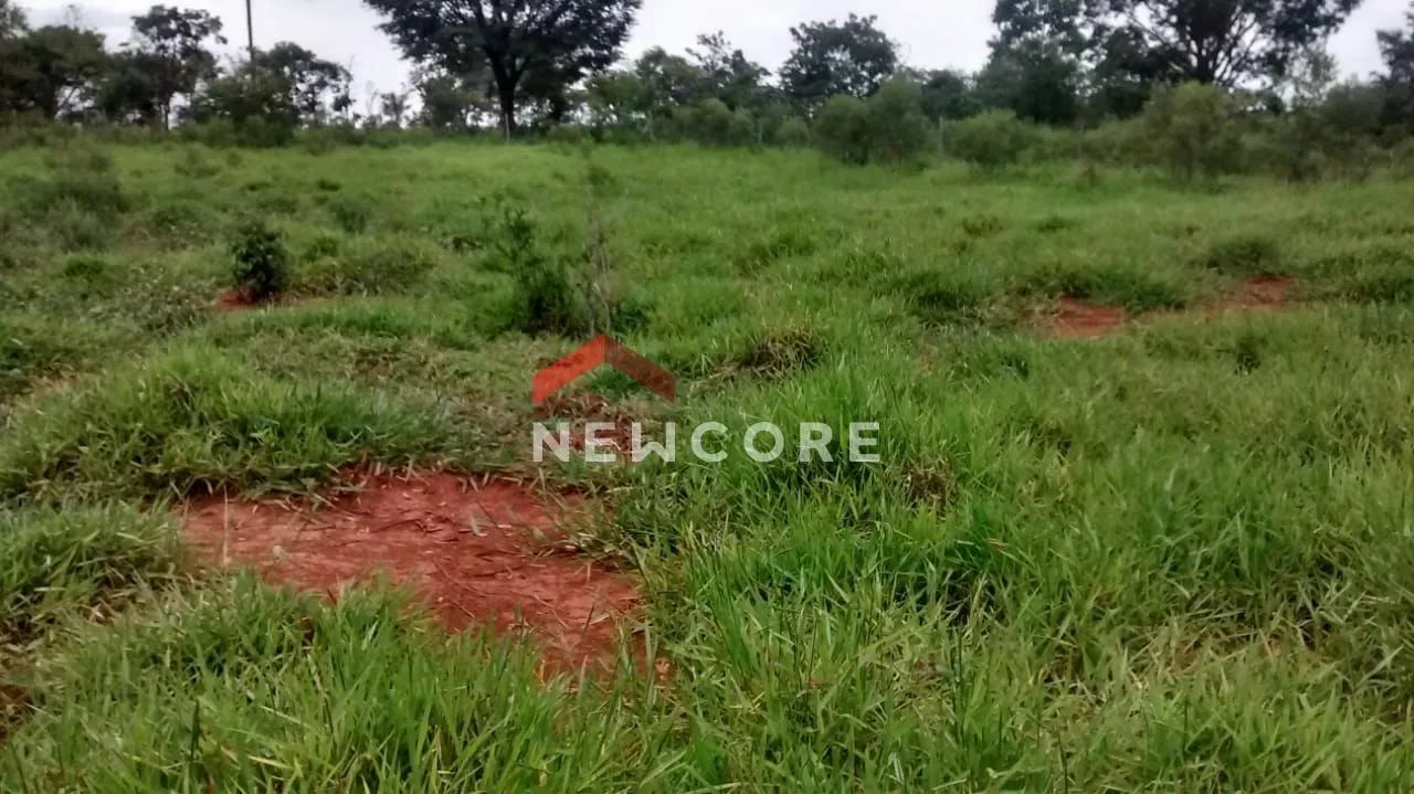 Lote em Rua Oitenta e Quatro - Centro - Mateus Leme/MG - Foto 2