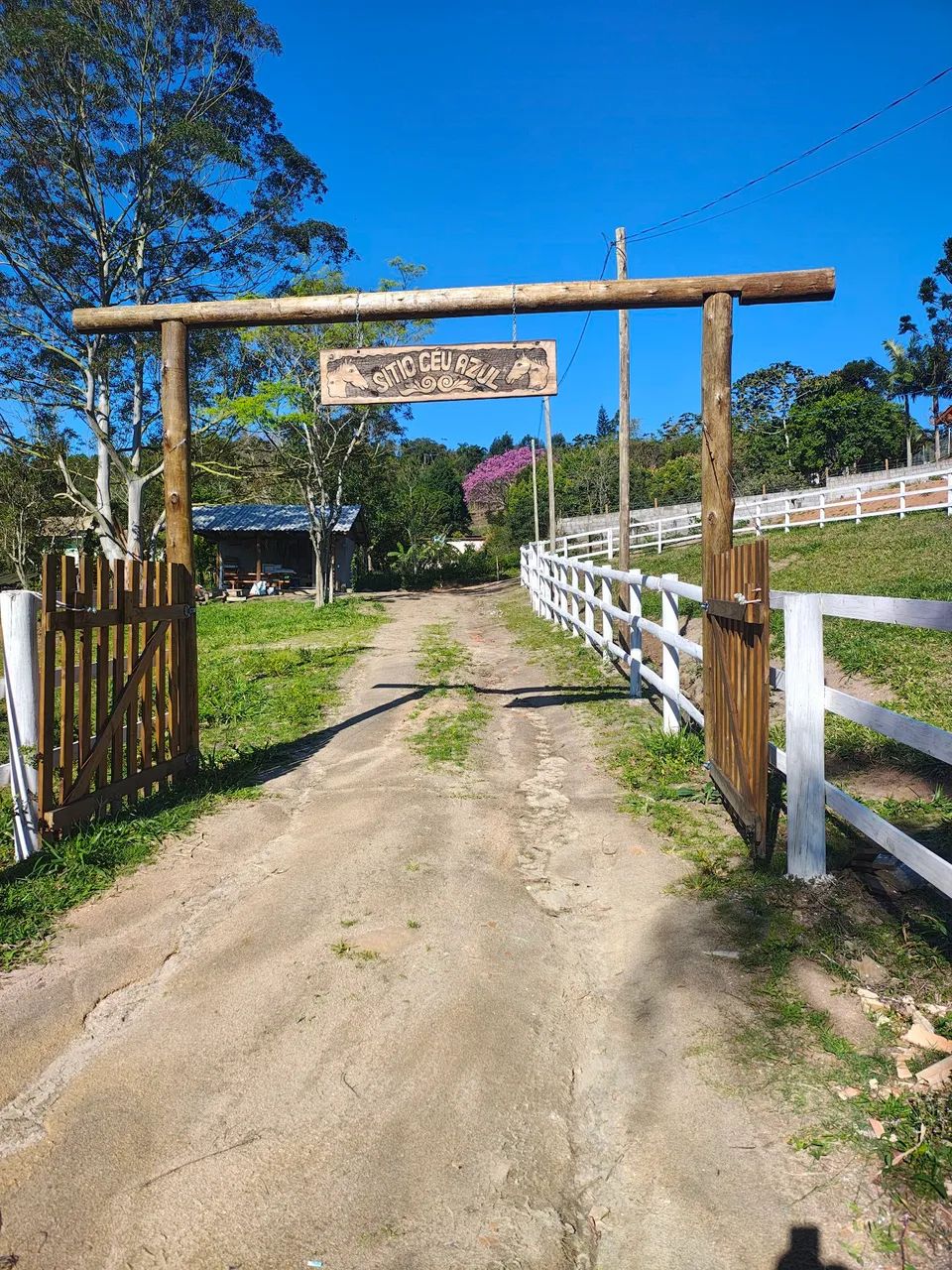 Foto - São José - Forquilhas