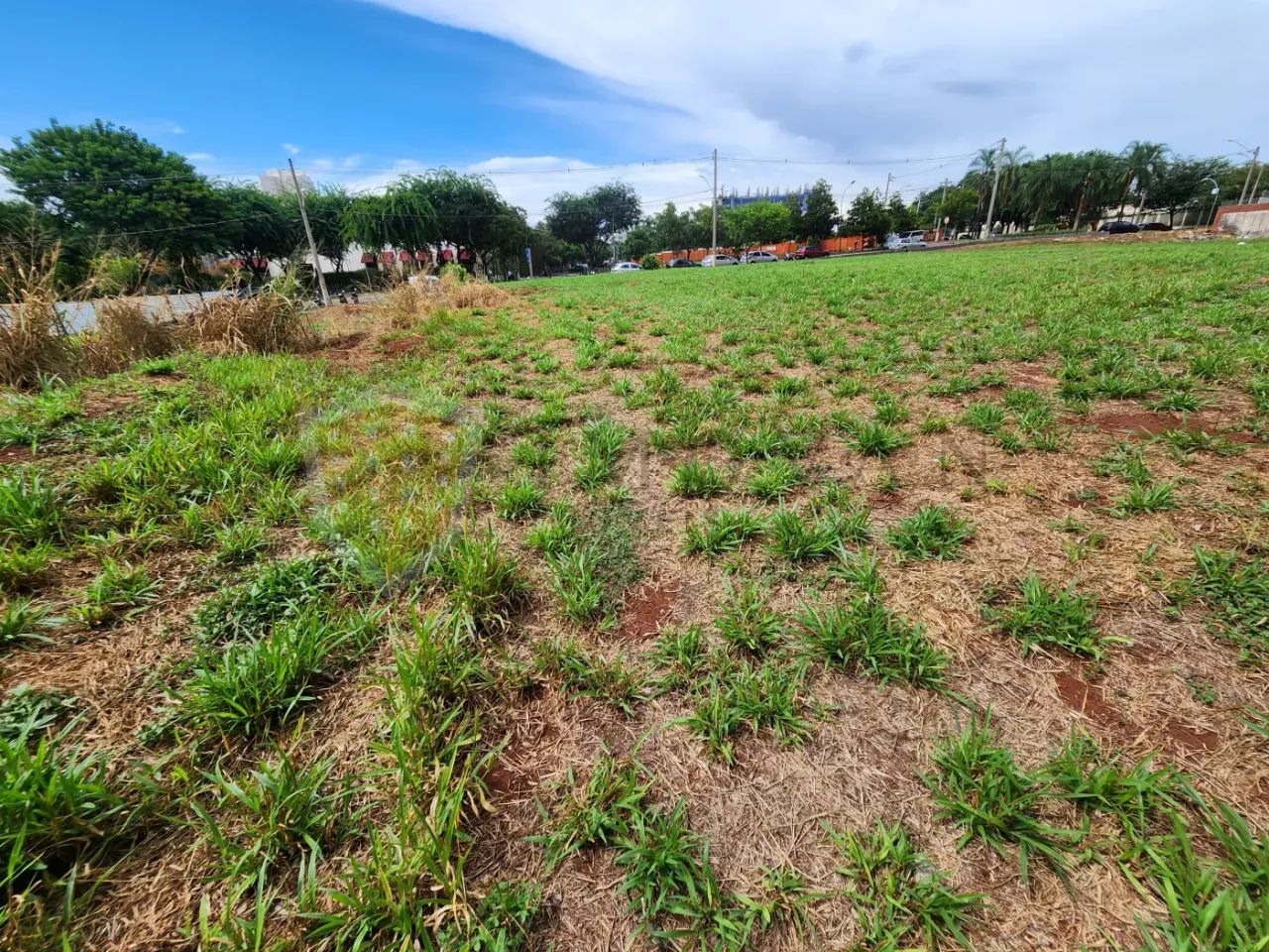 Lote Residencial 2.872,73 m²