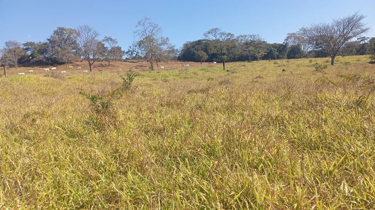10 alqueires em Corumbá de Goiás - Foto 3