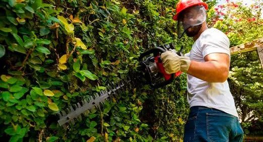 Serviço profissionais de jardinagem e limpeza 