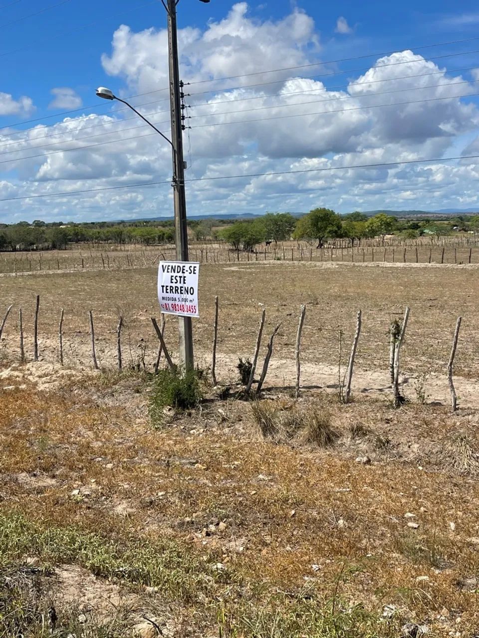 Terreno PE 90 manduri - Foto 4