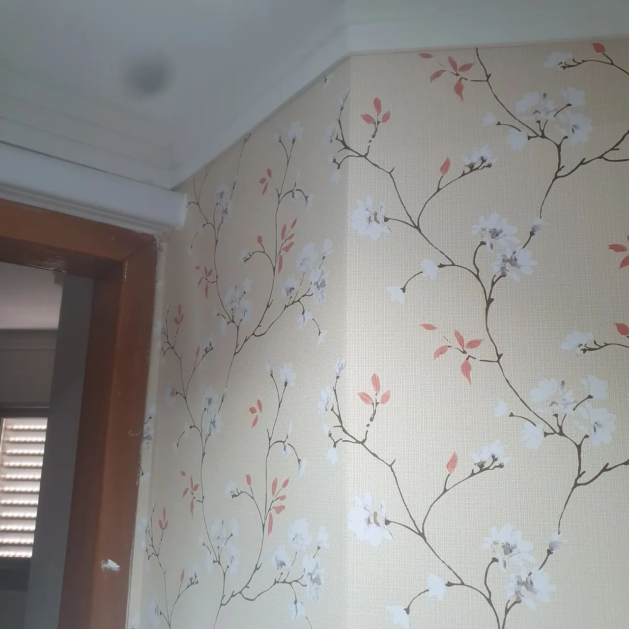 Aplicação de papel de parede e adesivos em geral  - Foto 3