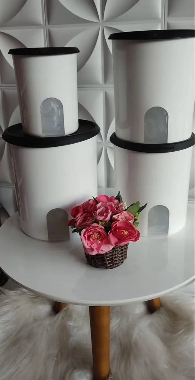 Conjunto de Potes Tupperware