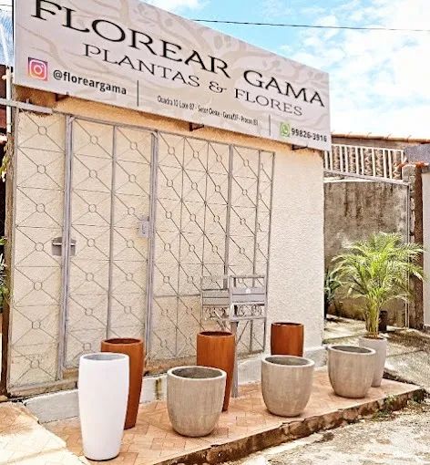 vasos e plantas - Foto 2