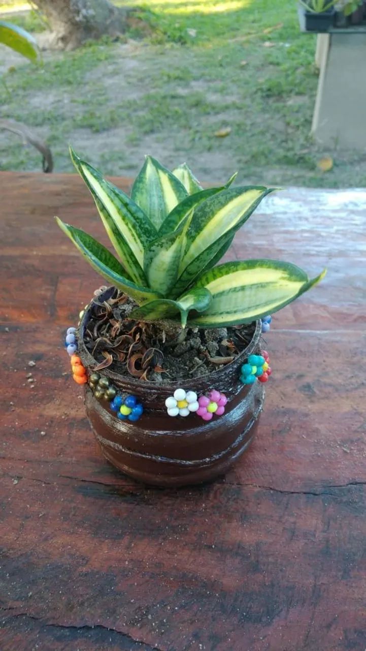 Plants63825060915457120