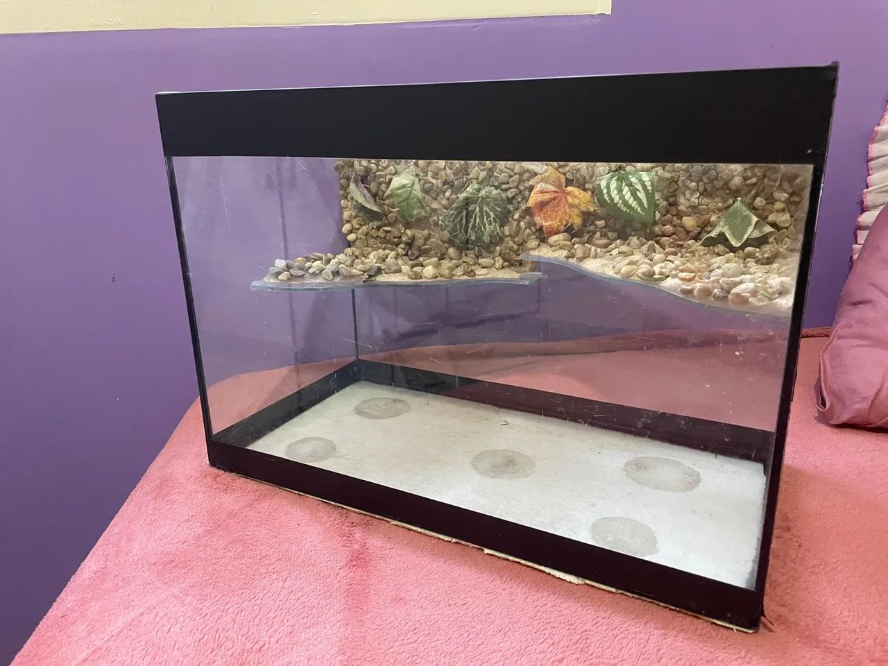 Aquaterrario para tartaruga de vidro 20L com decoração