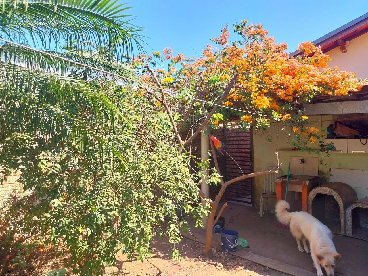 Foto - Itapetininga - Jardim Leonel