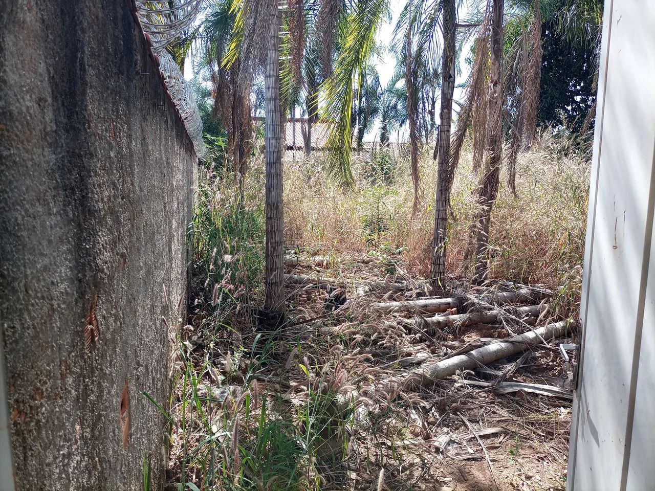 Vendo lote Jardim dos Ipês Uruaçu GO. - Foto 2
