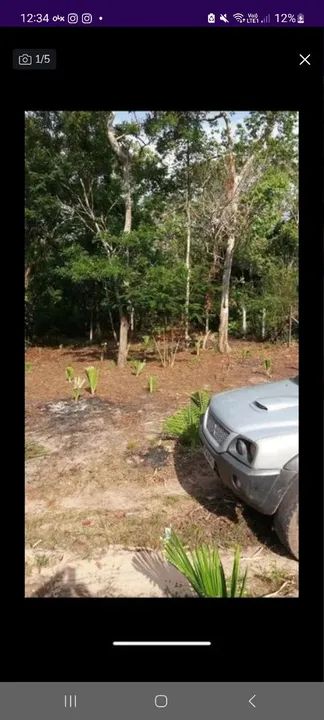Terreno no Caribe brasileiro Alter-do-Chão - Foto 4