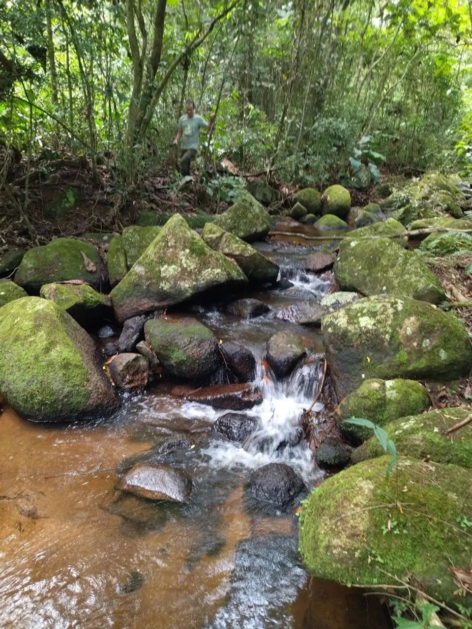 SÍTIO 8 HECTARES SERTÃO DO CANGUERI IMARUÍ 